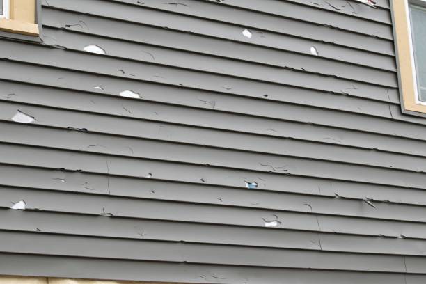 Best Custom Trim and Detailing for Siding  in Buellton, CA
